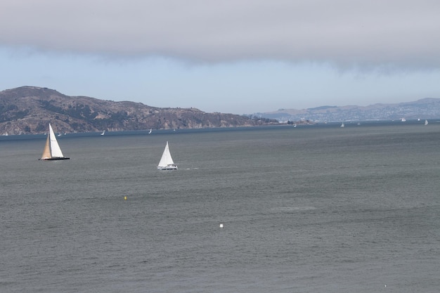 Horizon de san francisco depuis le champ de chrissy