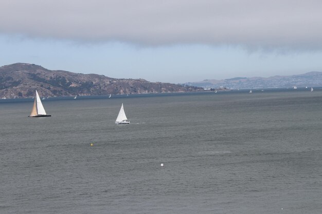 Horizon de san francisco depuis le champ de chrissy