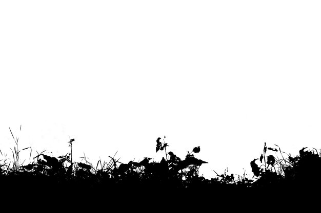 Horizontal noir et blanc herbe silhouette illustration fond hd