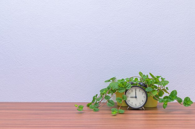 L'horloge et l'arbre sont un bureau