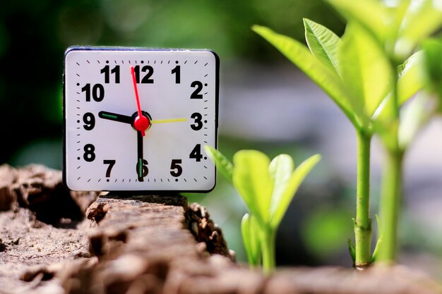 Photo l'horloge est réglée avec la nature