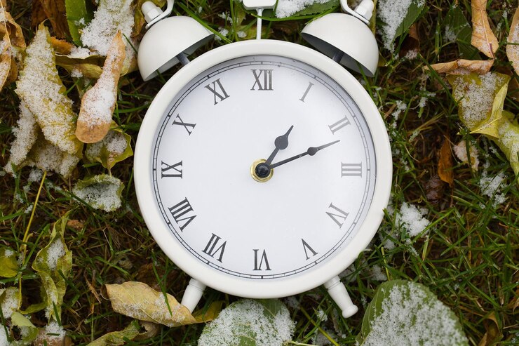 Photo horloge vintage blanche sur feuilles séchées.