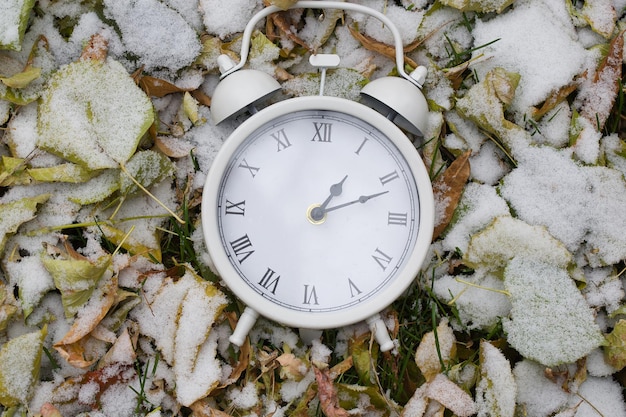 Photo horloge vintage blanche sur feuilles séchées.