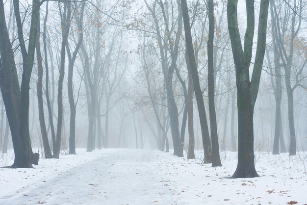 Hors saison entre hiver et printemps.