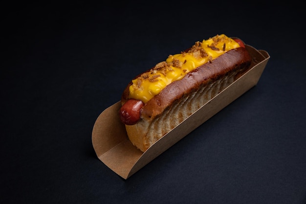 Hot-dogs dans des assiettes en carton avec saucisses et sauce sur fond noir