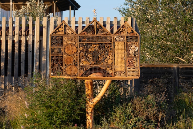 Hôtel insecte à la campagne