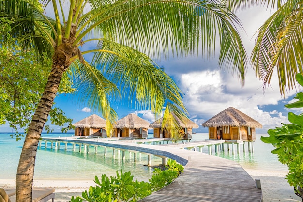 Photo hôtel de luxe avec villas sur l'eau et feuilles de palmier sur sable blanc, près de la mer bleue, paysage marin