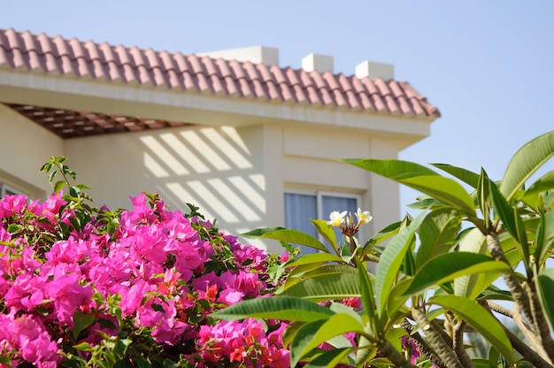 Hôtel villa de luxe dans un jardin tropical en Egypte. Fond de vacances d'été