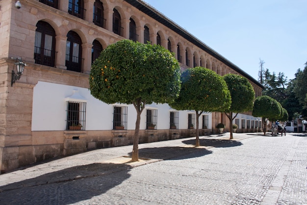 Hôtel de ville de Ronda et calèche