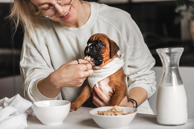 l'hôtesse d'un animal de compagnie tient un petit chiot boxeur allemand drôle dans ses bras et le nourrit