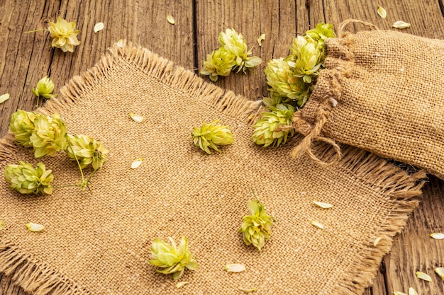 Houblon entier dans un sac sur une vieille table en bois. Brasserie. Ingrédients de la bière. Sac de houblon sur planches vintage