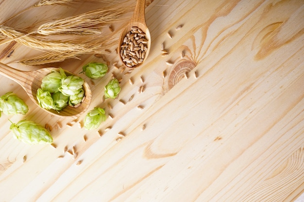 Houblon et orge dans des cuillères en bois