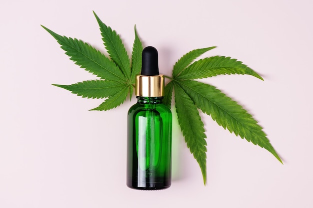 Huile de cannabis et feuille de chanvre sur fond rose, plat, huile de chanvre CBD dans une bouteille, sérum pour le visage au cannabis pour les soins de la peau