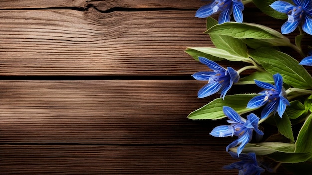 Photo l'huile essentielle de borage est un produit cosmétique à base d'huile de borage.