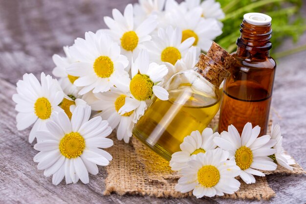 Huile essentielle en bouteille en verre aux fleurs de camomille fraîches, soin de beauté.