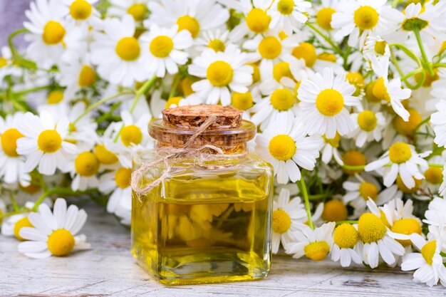 Huile essentielle en bouteille en verre aux fleurs de camomille fraîches, soin de beauté.