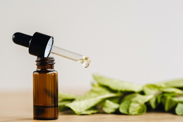 Huile essentielle dans une bouteille et plantes à la menthe posées à la surface