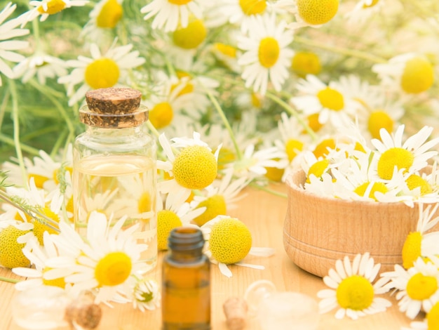 Huile essentielle dans une bouteille en verre avec concept de spa de fleurs de camomille fraîches