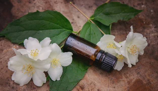 Huile essentielle et fleurs de jasmin sur un fond en bois. Procédures cosmétiques. Mise au point sélective