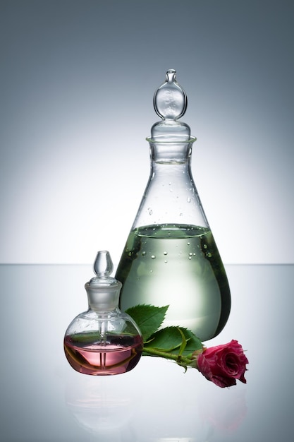 Huile essentielle et parfum dans des bouteilles transparentes et rose rose sur fond gris avec vignettage