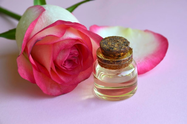 Huile essentielle de rose dans une bouteille en verre sur fond rose Concept de soins de la peau ou d'aromathérapie Spa