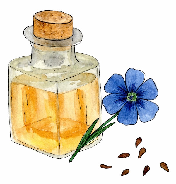 Huile de lin fleurs et graines de lin alimentation saine et produits cosmétiques isolés sur fond blanc dessin d'esquisse aquarelle