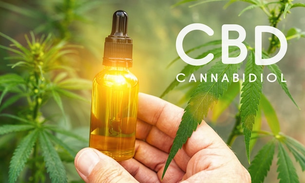 Huile médicinale d'extrait de cannabis CBD dans une bouteille. Concept de médecine alternative à base de plantes, huile de cbd, industrie pharmaceutique