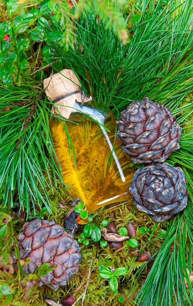 L'huile de noix de pin dans une bouteille en verre Se trouve sur la mousse à côté de cônes de cèdre Vue d'en haut