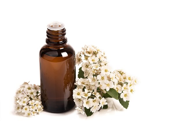 Huile visage, sérum ou huile florale. Cosmétique naturelle. Fleurs blanches sur fond blanc. Procédure thermale.