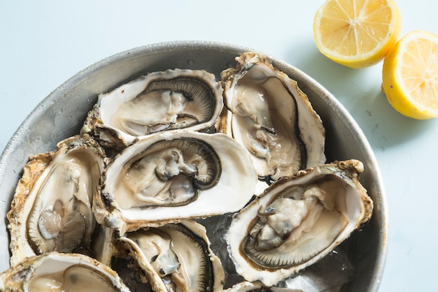 Plateaux d'huîtres fraîches (48) - Instant-Lunch