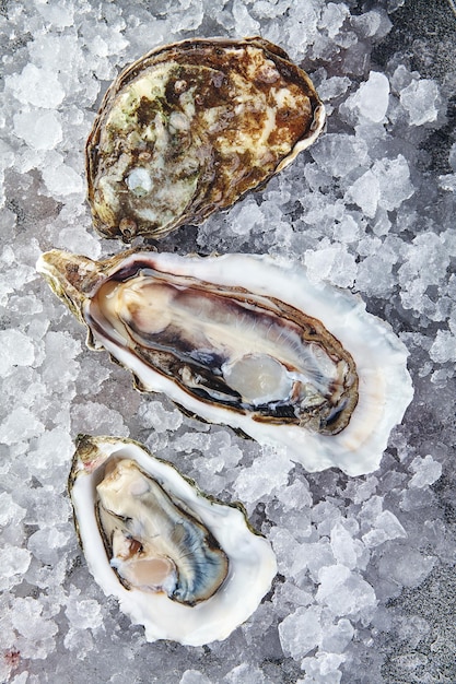 Photo huîtres au citron sur glace sur fond gris libre
