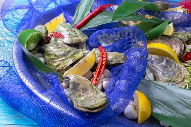 Huîtres crues au citron et glace