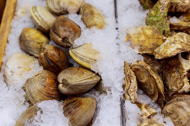 Huîtres sur l'étagère du magasin moules sur des étagères dans la glace du magasin