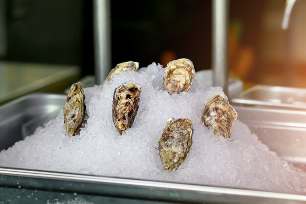 Huîtres Fraîches Dans La Glace Dans Une Vitrine