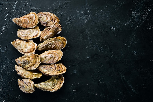 Huîtres fraîches fermées. Fruits de mer Sur un fond de pierre noire. Vue de dessus. Espace de copie gratuit.