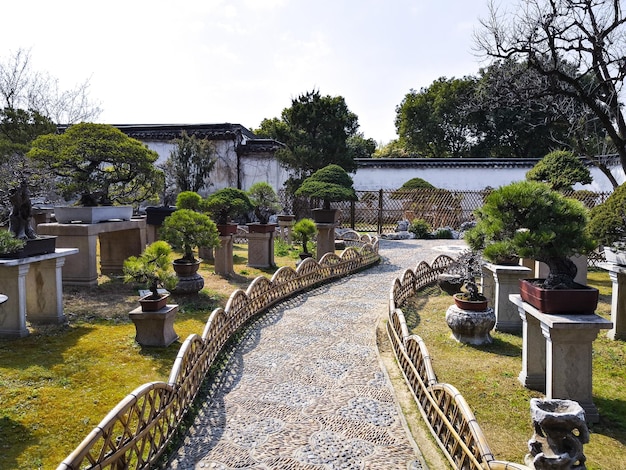 Humble Administrator's Garden, le plus grand jardin de Suzhou