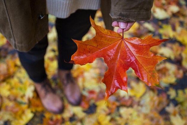 Humeur d'automne et fille