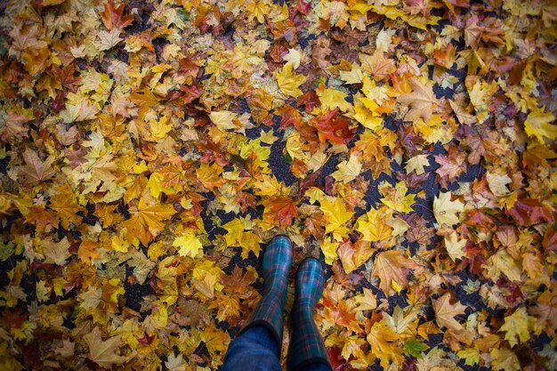 Humeur d'automne et fille