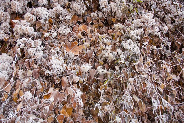 L'humeur de l'hiver