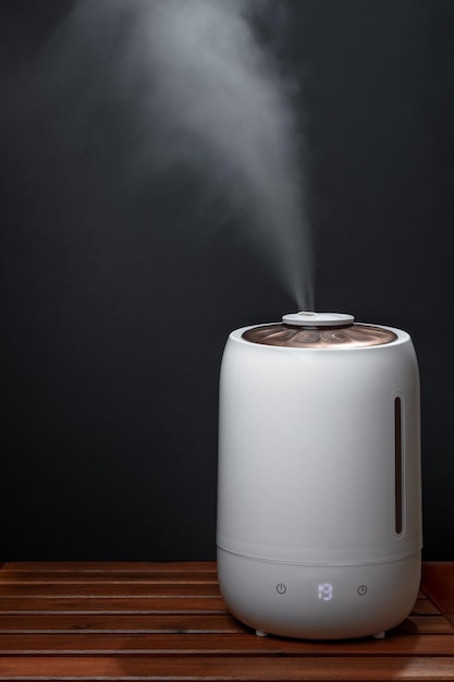 Humidificateur d'air pendant le travail purifie l'air et vaporise la vapeur Humidification de l'air sec Précautions pour la santé