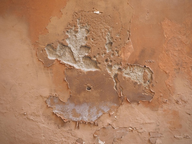 Humidité humide sur le mur