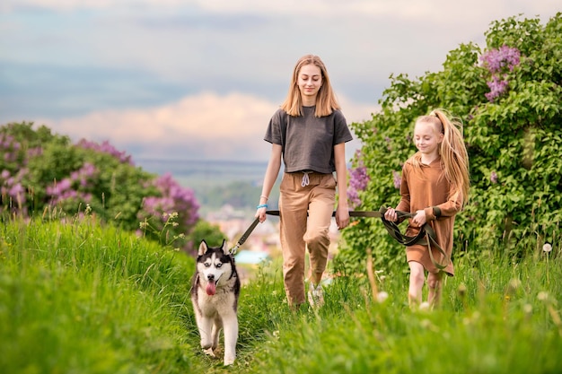 Le husky sibérien et la famille de ses propriétaires courent joyeusement le long de la route avec en toile de fond un paysage rural d'été avec vue panoramique