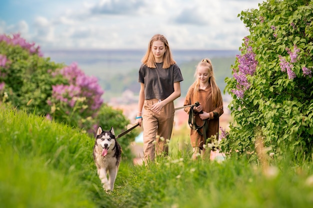 Le husky sibérien et la famille de ses propriétaires courent joyeusement le long de la route avec en toile de fond un paysage rural d'été avec vue panoramique