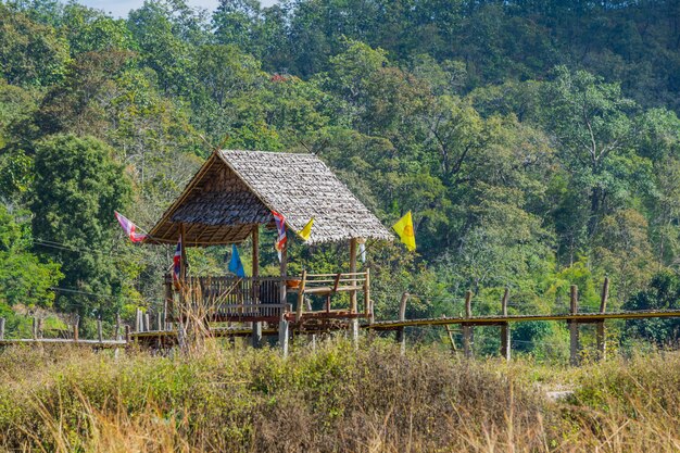 Hutte de bois dans la campagne de rizière à Pai, Thaïlande