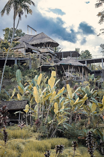 Huttes balinaises traditionnelles, hôtel, maison d'hôtes dans la jungle dans la région d'Ubud, Bali