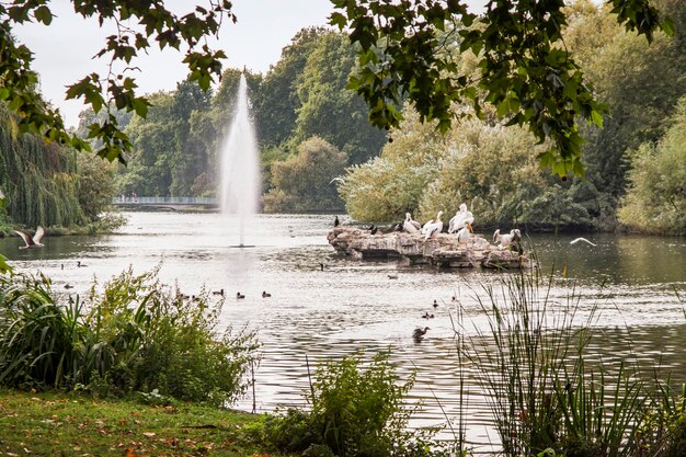 Hyde Park à Londres