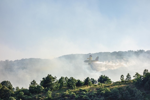 Photo hydravion lançant de l'eau lors d'un incendie de forêt