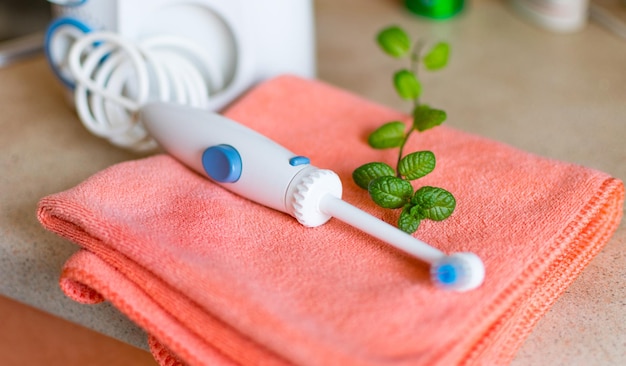 Hygiène buccale Irrigator pour nettoyer les dents avec une feuille de menthe comme concept de respiration pure