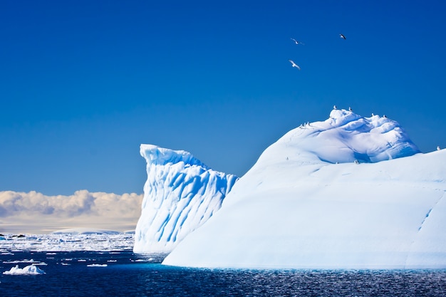 Iceberg antarctique