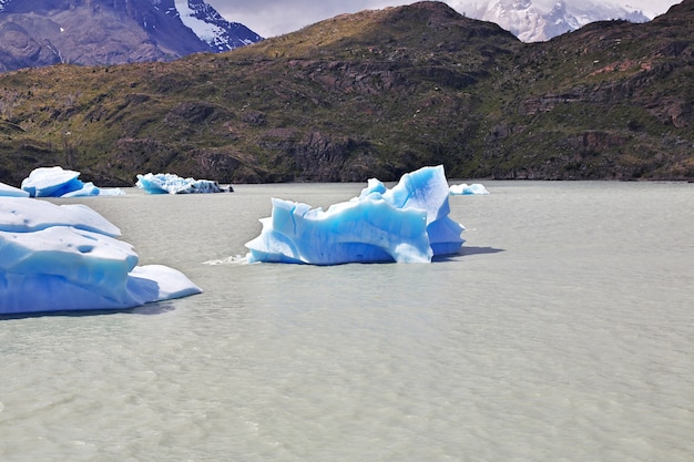 Iceberg dans Lago Grey dans le Parc National Torres del Paine, Patagonie, Chili